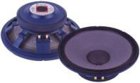 P.Audio Professional Series 15" Speaker