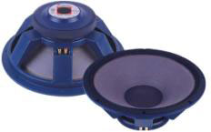 P.Audio Professional Series 18" Speaker 