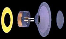 P.Audio JBL 2226 recone kit $180 